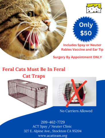 Feral – Cat Trap Fever